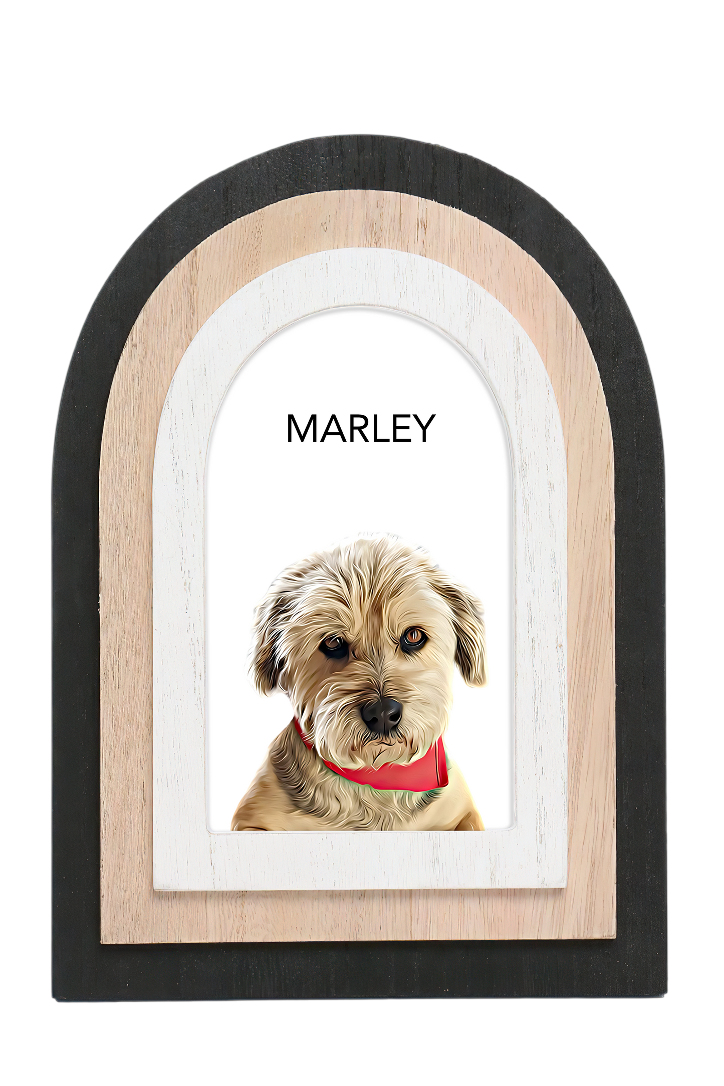 "Teacher's Pet" Desk Portrait – Limited Edition Gift for Teachers