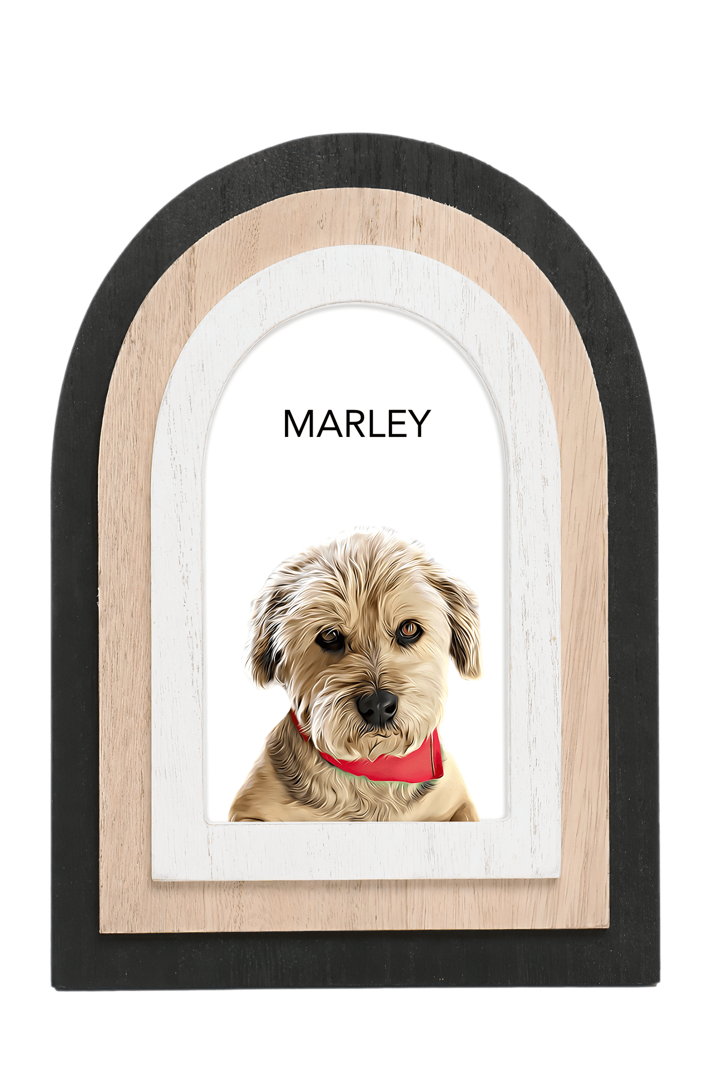 personalized teacher pet portrait