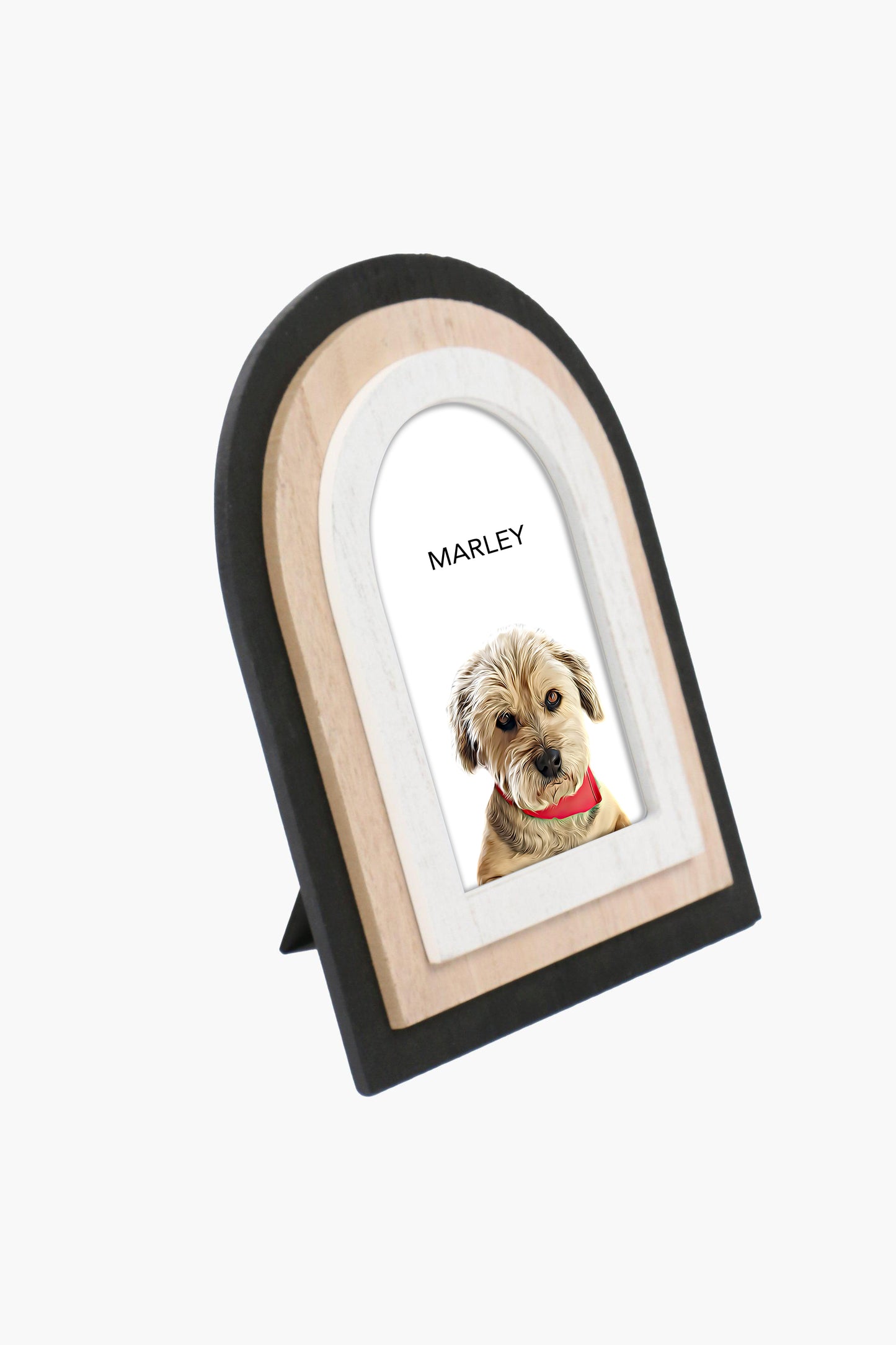 "Teacher's Pet" Desk Portrait – Limited Edition Gift for Teachers