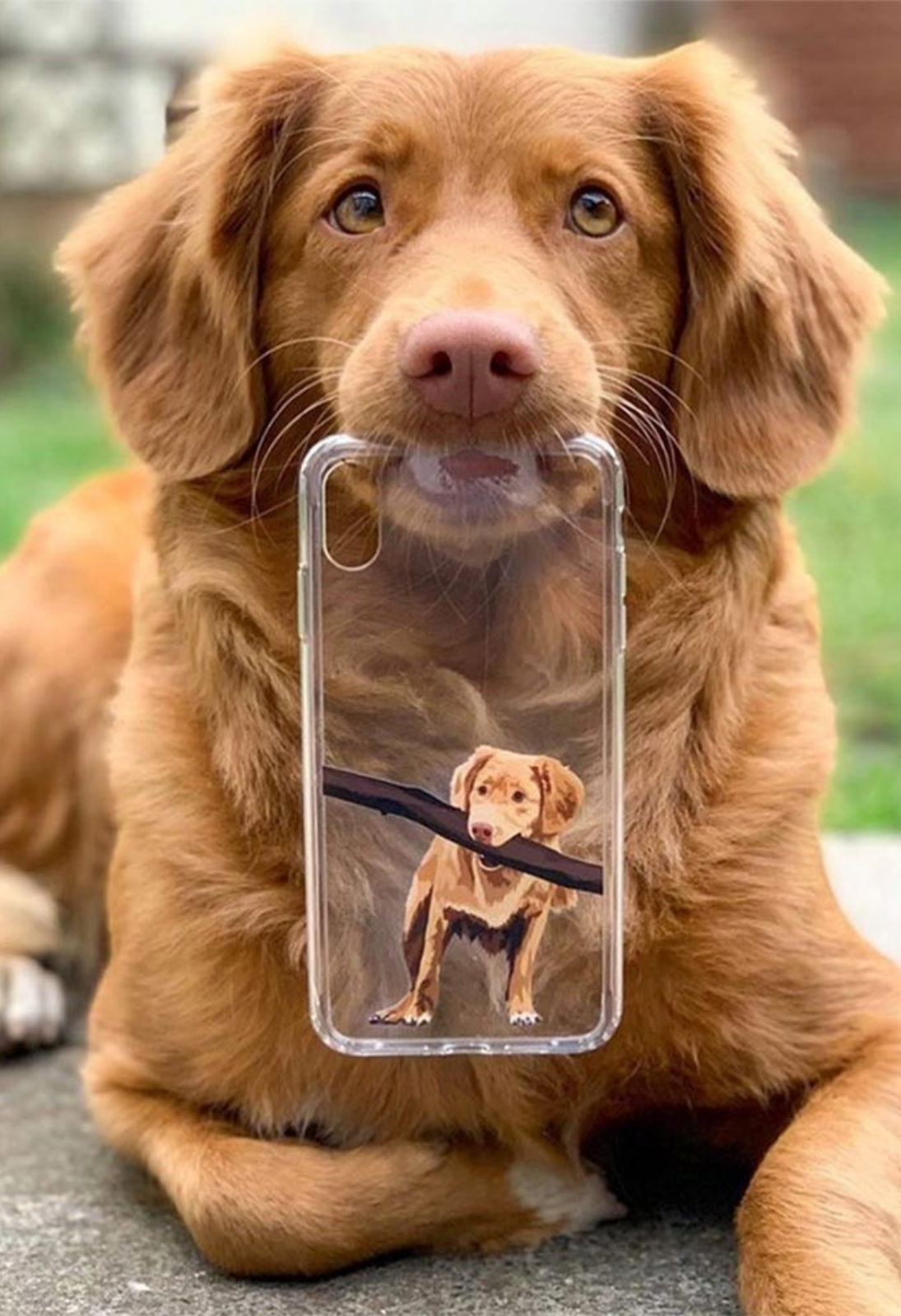 Custom Pet Portrait - PHONE CASE