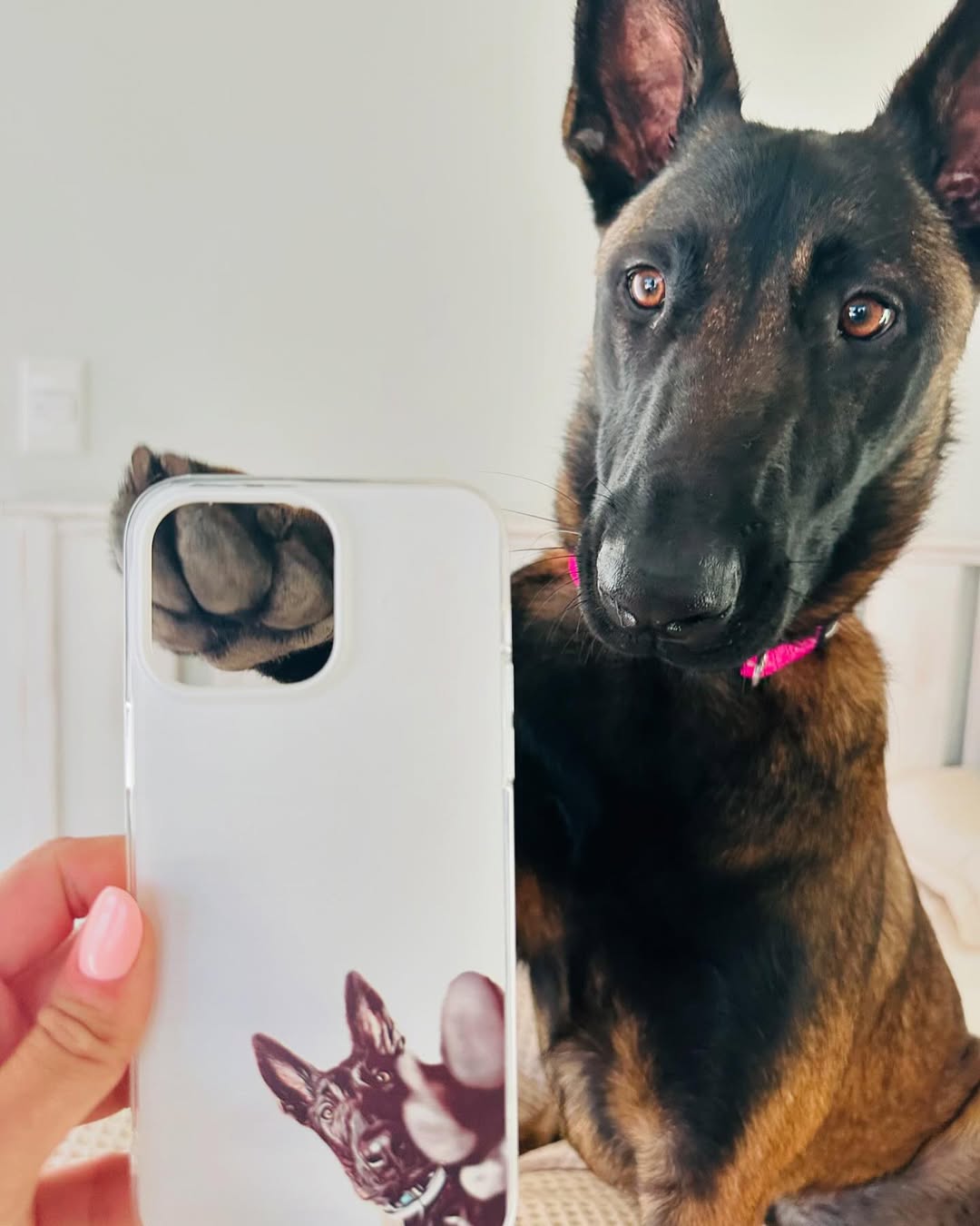Custom Pet Portrait - PHONE CASE